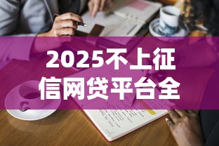 2025不上征信网贷平台全解析
