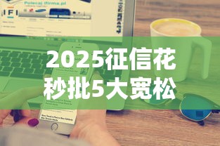 2025征信花秒批5大宽松平台
