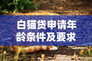白猫贷申请年龄条件及要求详解 白猫贷申请年龄条件及要求详解