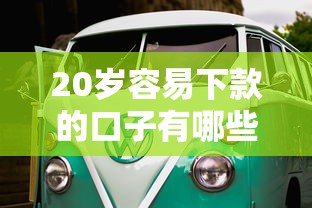 20岁容易下款的口子有哪些