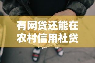有网贷还能在农村信用社贷款吗