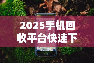2025手机回收平台快速下款指南 2025手机回收平台快速下款指南