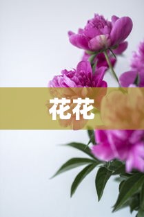 花花 花花