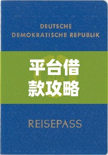 平台借款攻略快速下款必备指南