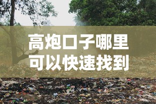 高炮口子哪里可以快速找到
