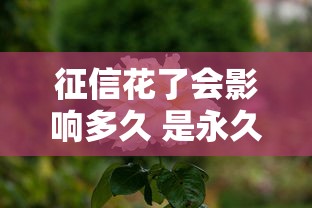 征信花了会影响多久 是永久的吗