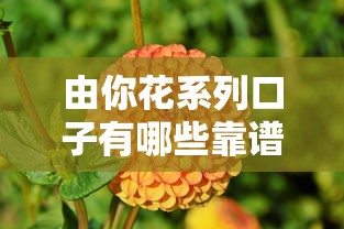 由你花系列口子有哪些靠谱选择