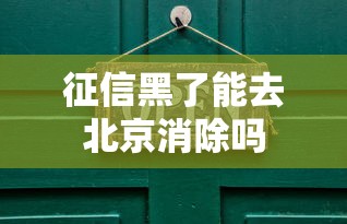 征信黑了能去北京消除吗 征信黑了能去北京消除吗