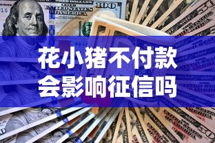 花小猪不付款会影响征信吗 花小猪不付款会影响征信吗