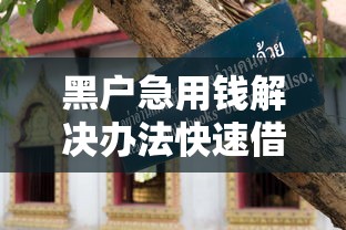 黑户急用钱解决办法快速借款指南