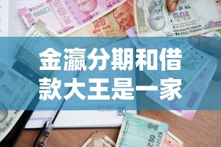 金瀛分期和借款大王是一家吗