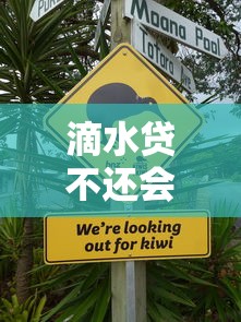 滴水贷不还会有什么后果