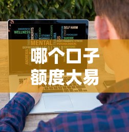 哪个口子额度大易降快速了解