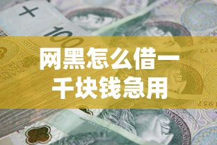 网黑怎么借一千块钱急用