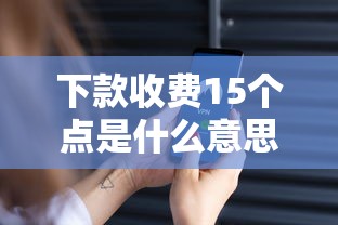 下款收费15个点是什么意思