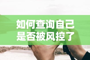 如何查询自己是否被风控了