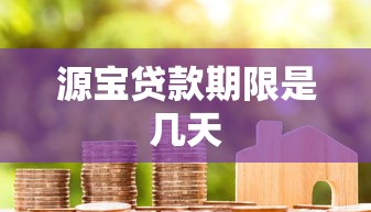源宝贷款期限是几天