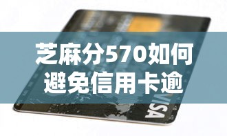 芝麻分570如何避免信用卡逾期还款