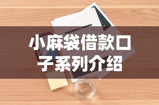 小麻袋借款口子系列介绍