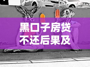 黑口子房贷不还后果及应对方法