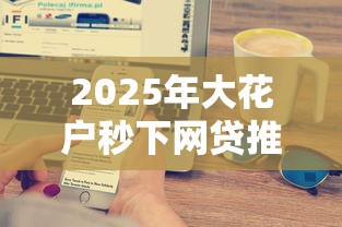 2025年大花户秒下网贷推荐