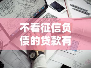 不看征信负债的贷款有哪些