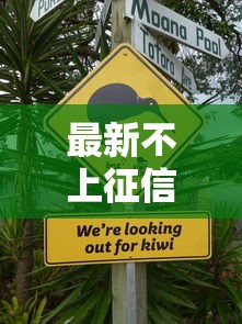 最新不上征信网贷口子大盘点