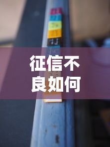 征信不良如何贷款买车攻略
