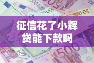 征信花了小辉贷能下款吗