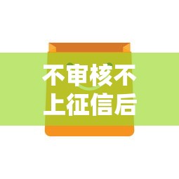 不审核不上征信后果解析