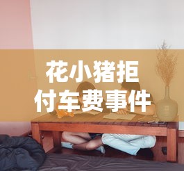 花小猪拒付车费事件引争议