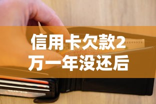 信用卡欠款2万一年没还后果解析