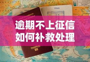 逾期不上征信如何补救处理