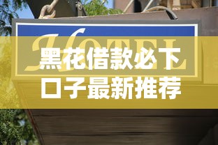黑花借款必下口子最新推荐