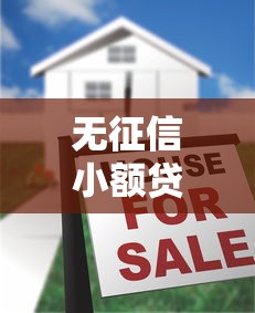 无征信小额贷款平台发展现状解析
