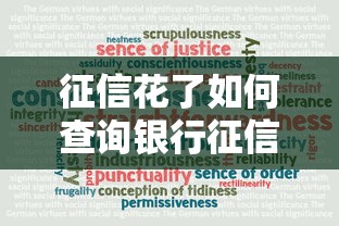 征信花了如何查询银行征信记录