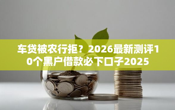 车贷被农行拒？2026最新测评10个黑户借款必下口子2025