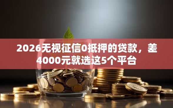 2026无视征信0抵押的贷款，差4000元就选这5个平台