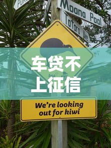 车贷不上征信如何解决还贷问题