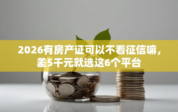 2026有房产证可以不看征信嘛，差5千元就选这6个平台