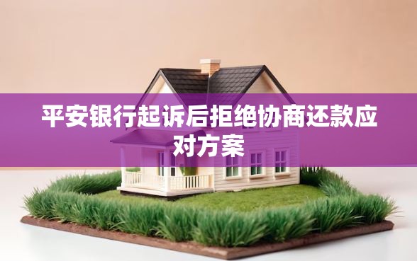 平安银行起诉后拒绝协商还款应对方案