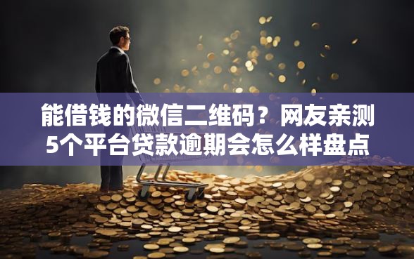 能借钱的微信二维码？网友亲测5个平台贷款逾期会怎么样盘点