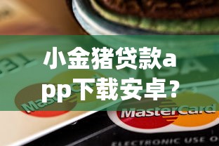 小金猪贷款app下载安卓？十个逾期也不怕的70岁可以贷款的平台