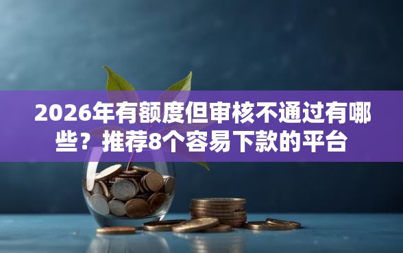 2026年有额度但审核不通过有哪些？推荐8个容易下款的平台