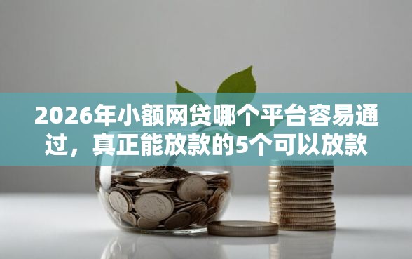 2026年小额网贷哪个平台容易通过，真正能放款的5个可以放款的平台不查征信推荐