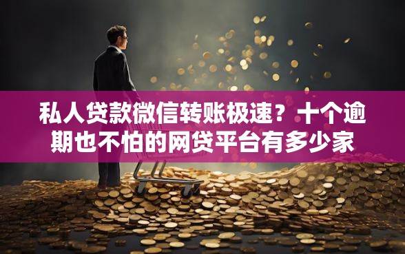 私人贷款微信转账极速？十个逾期也不怕的网贷平台有多少家