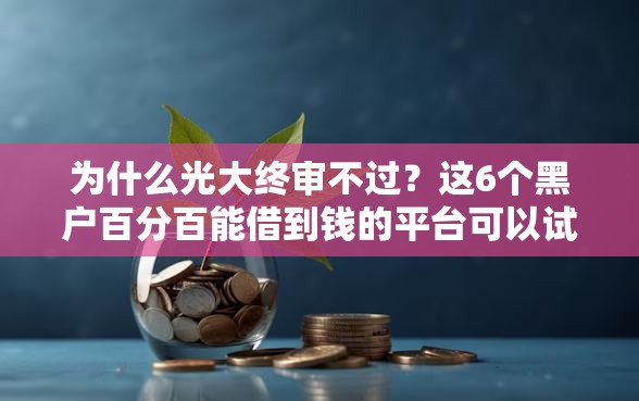 为什么光大终审不过？这6个黑户百分百能借到钱的平台可以试试