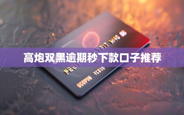 高炮双黑逾期秒下款口子推荐