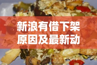 新浪有借下架原因及最新动态