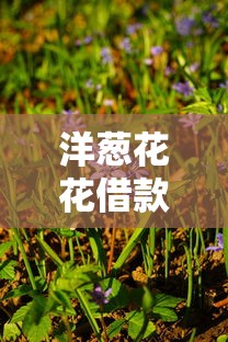 洋葱花花借款口子靠谱吗